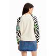 Desigual Pullover Rin