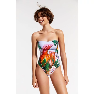 Desigual Swin Parrot
