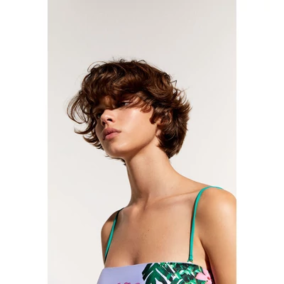 Desigual Swin Parrot